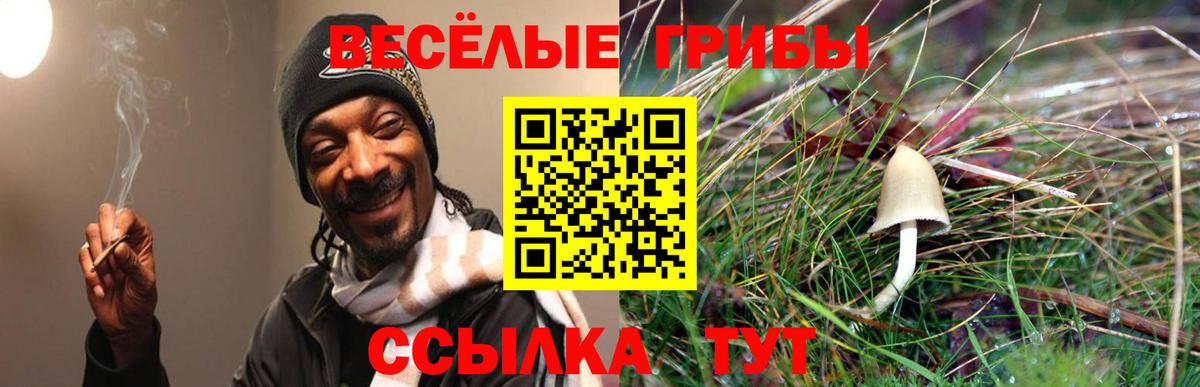 Галлюциногенные грибы MAGIC MUSHROOMS  Псилоцибиновые грибы MAGIC MUSHROOMS  Вход с VPN  Новотроицк 