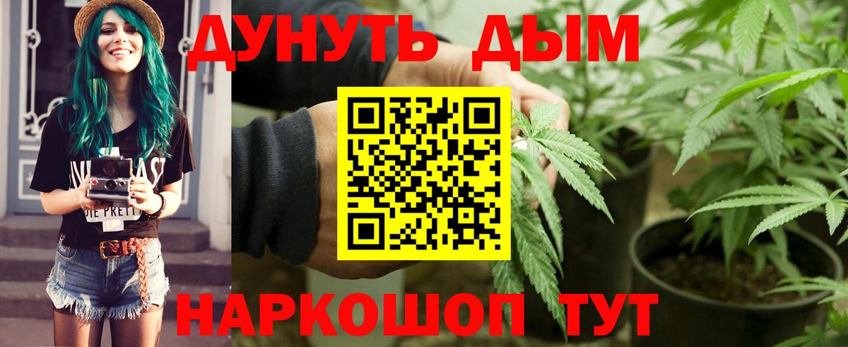 Бошки Шишки MAZAR Новотроицк